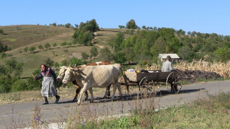 Jak žít a cestovat soběstačně